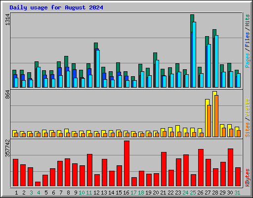 Daily usage for August 2024