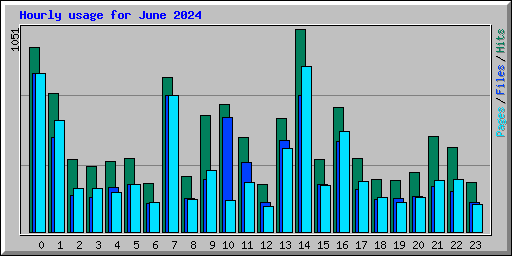 Hourly usage for June 2024