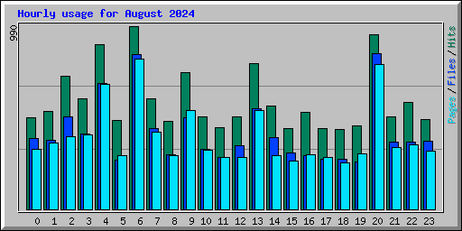 Hourly usage for August 2024