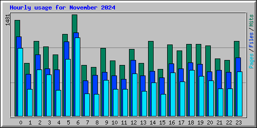 Hourly usage for November 2024