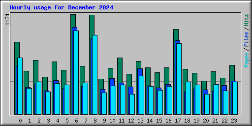 Hourly usage for December 2024