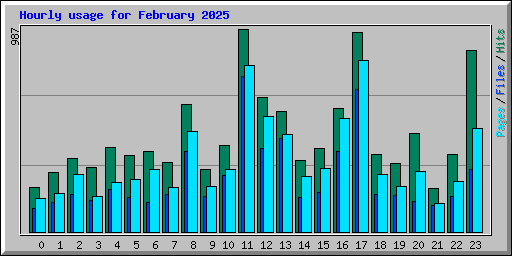 Hourly usage for February 2025