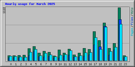 Hourly usage for March 2025