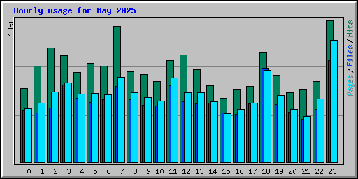 Hourly usage for May 2025