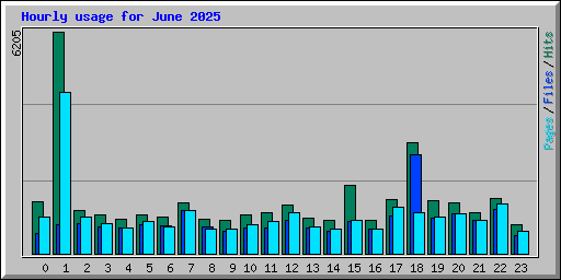 Hourly usage for June 2025