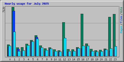 Hourly usage for July 2025